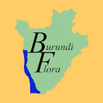 Burundi flora logo