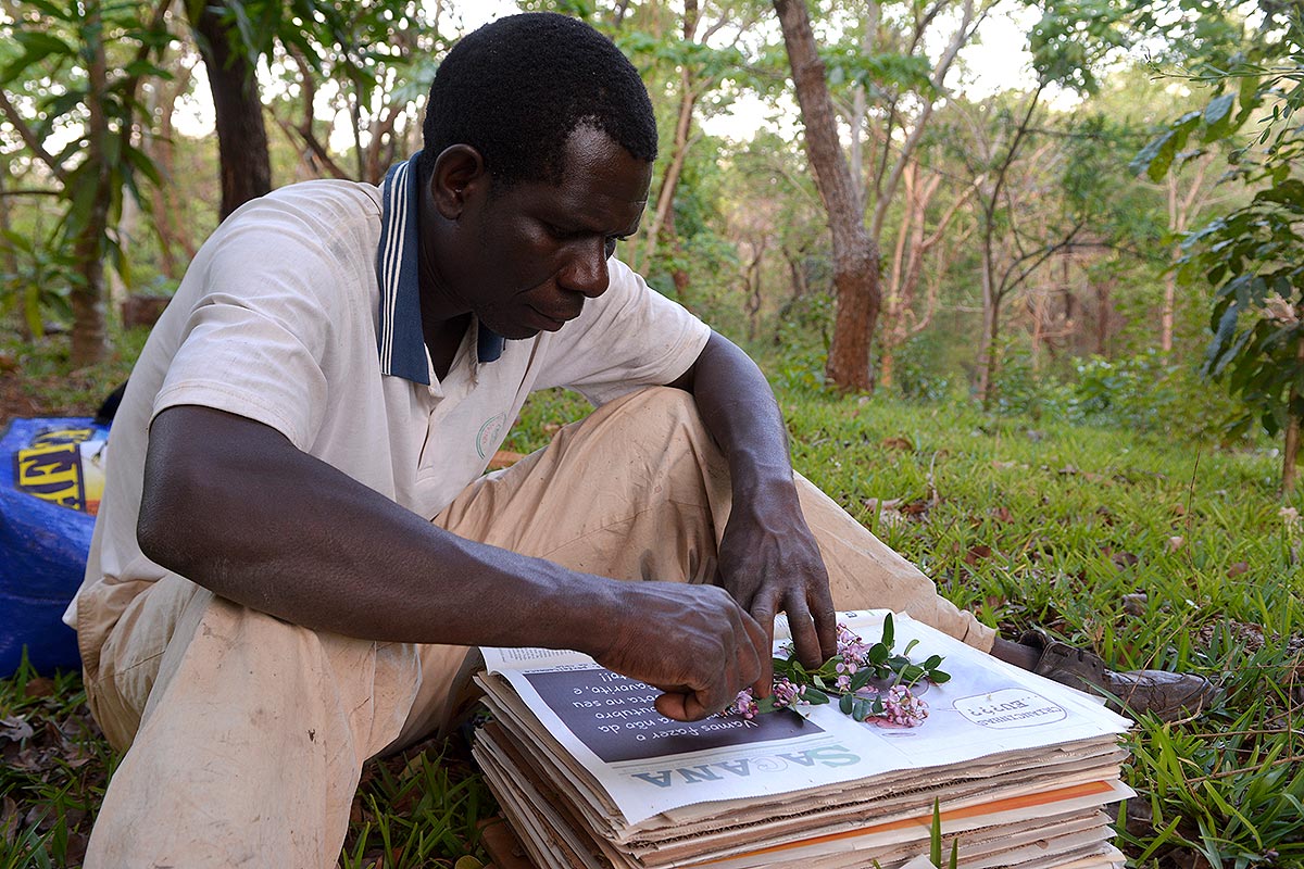 Paulo pressing plants at Nhamacoa forest.